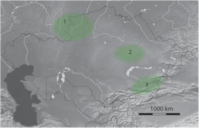 Ecosystem Engineering Among Ancient Pastoralists in Northern Central Asia